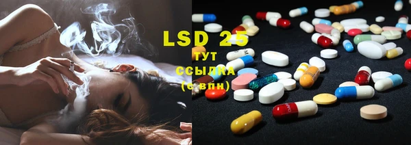 PSILOCYBIN Богородск