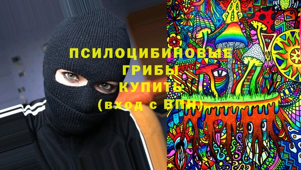 метадон Беломорск