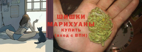 ALPHA PVP Богданович