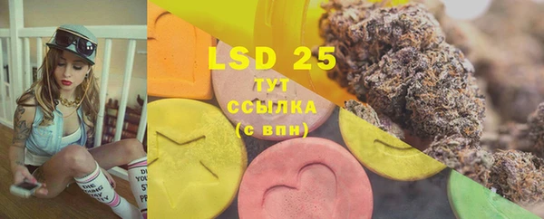 mdpv Богородицк