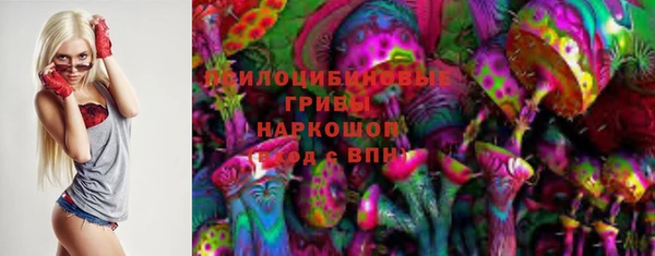 mdpv Богородицк